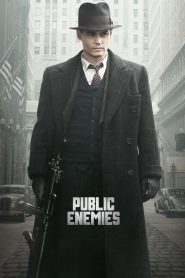 საზოგადოებისთვის საშიშნი / Public Enemies