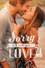 მაპატიე სიყვარულისთვის (2014)SORRY IF I CALL YOU LOVE / ქართულად