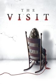 ვიზიტი / The Visit