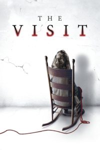 ვიზიტი / The Visit