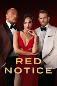 წითელი ცირკულარი / Red Notice
