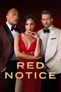 წითელი ცირკულარი / Red Notice