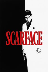 ნაიარევი სახე / Scarface