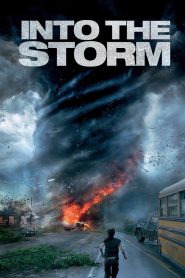 ქარიშხალი / Into the Storm