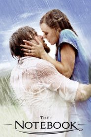 უბის წიგნაკი / The Notebook