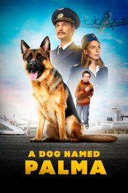 პალმა / A Dog Named Palma