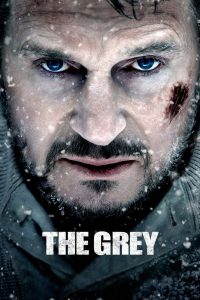 ნაცრისფერი / The Grey