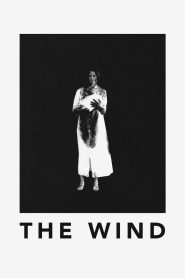 ქარი / The Wind
