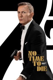 007: სიკვდილის დრო არ არის / No Time to Die