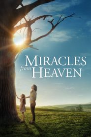 სასწაულები სამოთხიდან / Miracles from Heaven