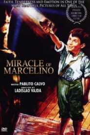 მარსელინო პური და ღვინო / The Miracle of Marcelino