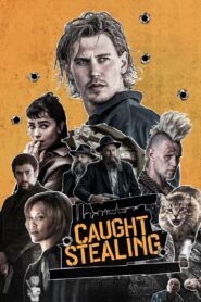 ქურდობაში ეჭვმიტანილი / Caught Stealing