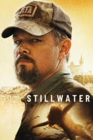 მშვიდი წყალი / Stillwater