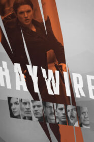 ნოკაუტი / Haywire
