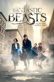 ჯადოსნური ცხოველები და სად ვიპოვოთ ისინი / Fantastic Beasts and Where to Find Them