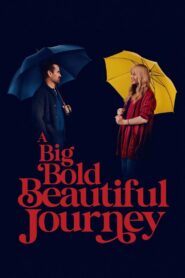 დიდი გაბედული მშვენიერი თავგადასავალი / A Big Bold Beautiful Journey
