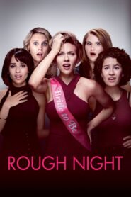 რთული ღამე / Rough Night