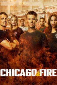 Chicago Fire: Season 2