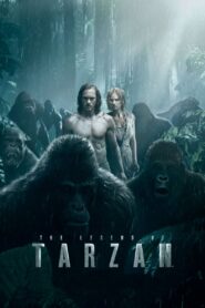ლეგენდა ტარზანზე / The Legend of Tarzan