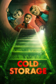 ცივი საცავი / Cold Storage