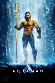 აქვამენი (2018) AQUAMAN / ქართულად, ინგლისურად, რუსულად