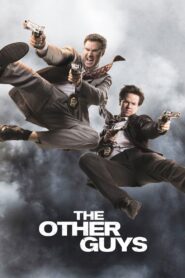 სხვა ბიჭები (2010) THE OTHER GUYS / ქართულად