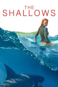 სისხლიანი ნაპირი / The Shallows