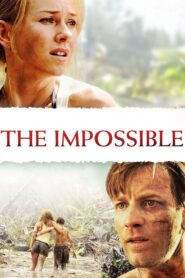 შეუძლებელი / The Impossible