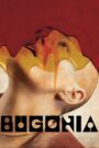 ბუგონია / Bugonia