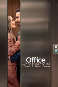 სამსახურებრივი რომანი / Office Romance