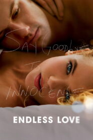 უსაზღვრო სიყვარული / Endless Love