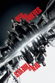 მძარცველებზე ნადირობა / Den of Thieves