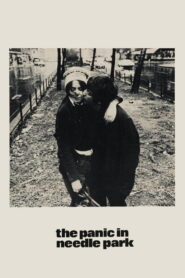 პანიკა ნიდლ პარკში / The Panic in Needle Park