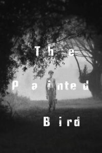 ფერადი ფრინველი / The Painted Bird