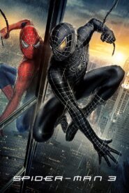 ადამიანი-ობობა 3 / Spider-Man 3