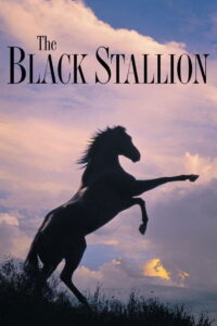 შავი სტალიონი / The Black Stallion