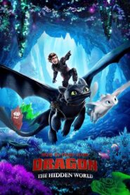 როგორ მოვათვინიეროთ დრაკონი 3 / How to Train Your Dragon: The Hidden World