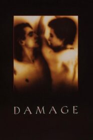 ზიანი / Damage