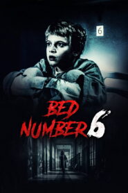 საწოლი ნომერი 6 / Bed Number 6