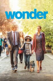 საოცრება / Wonder